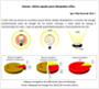 Zamac: ótima opção para lâmpadas LEDs